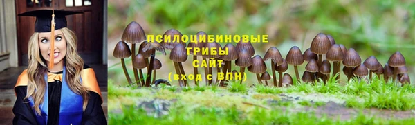 Альфа ПВП Бугульма