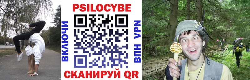Псилоцибиновые грибы GOLDEN TEACHER  мега ссылка  Долгопрудный 