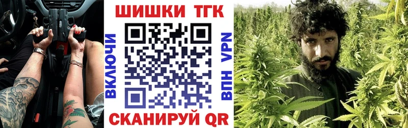 Бошки Шишки планчик  Долгопрудный 